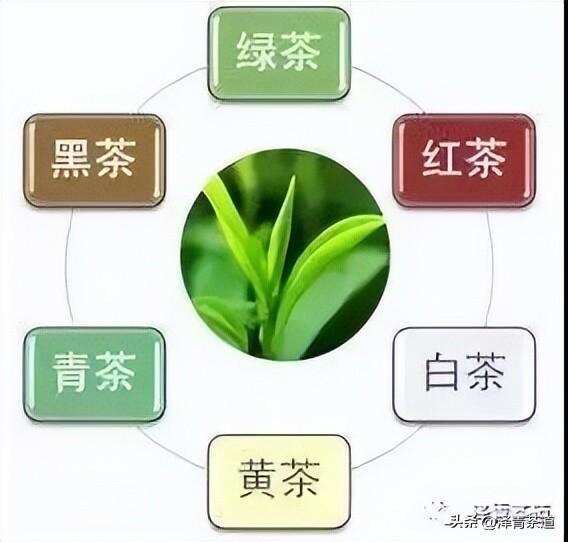 茶再爱再好，请一定要换着喝