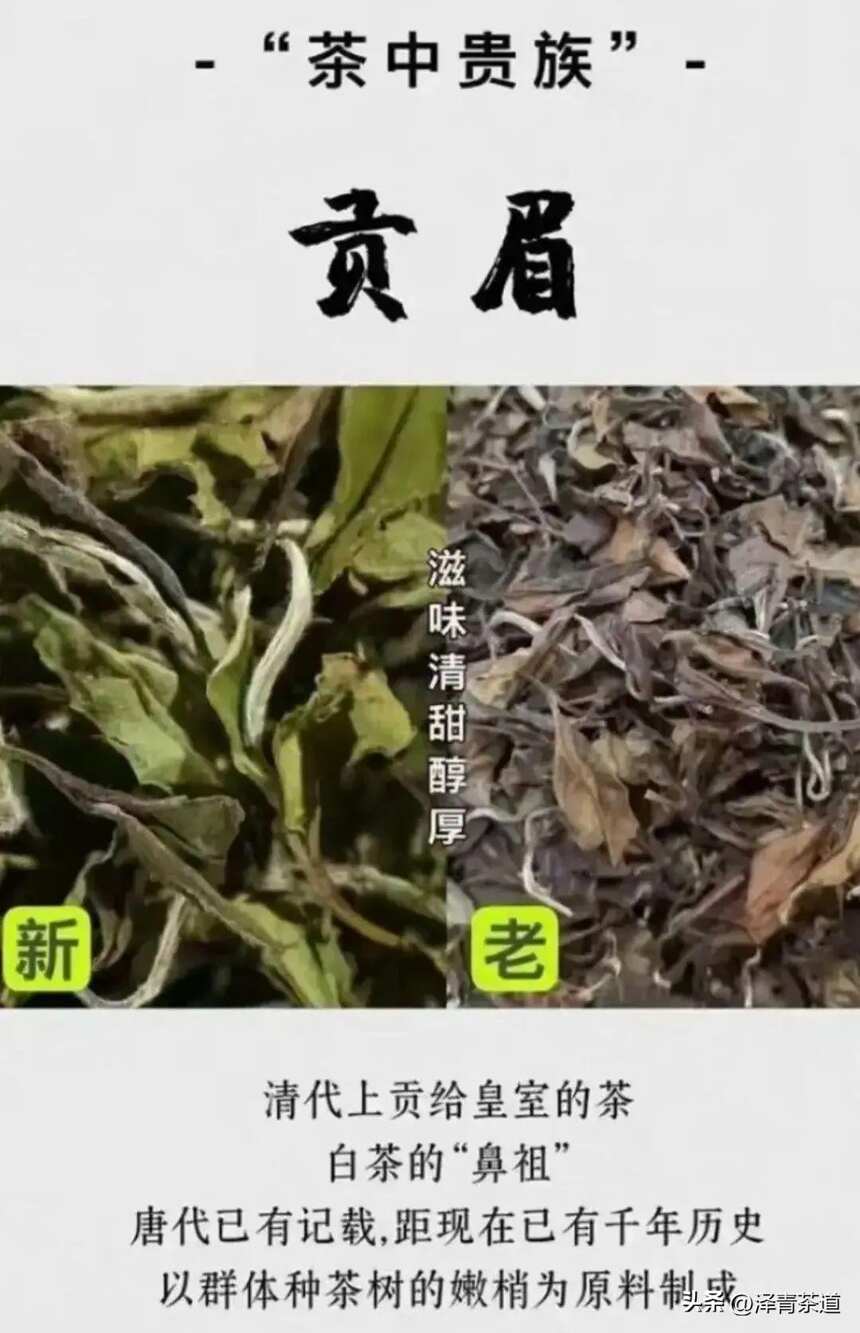 在疾病多发的冬季，为什么要多喝白茶养生？