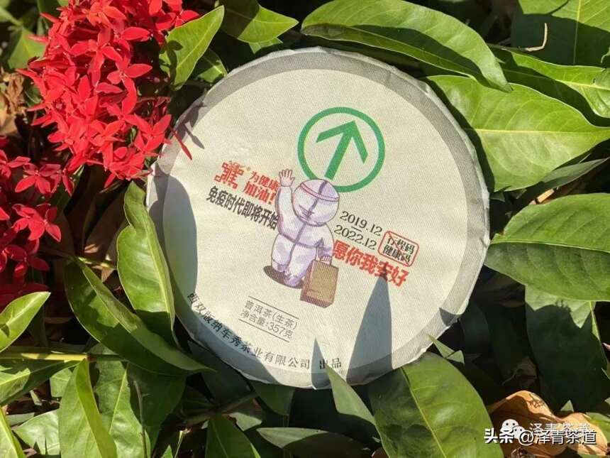 茶之密码：解析茶叶中的健康有益成分