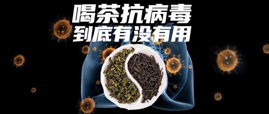 喝茶对病毒有用吗？