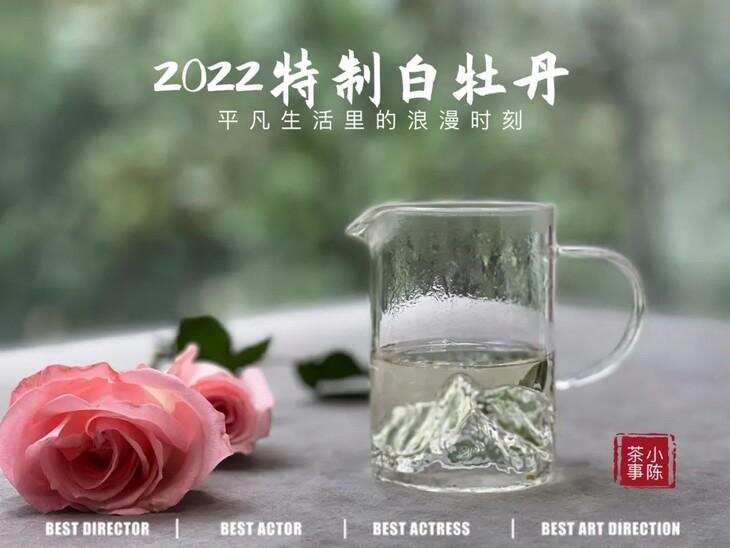 晚上才有时间喝茶的上班族，怎么喝茶比较好？这点建议很重要