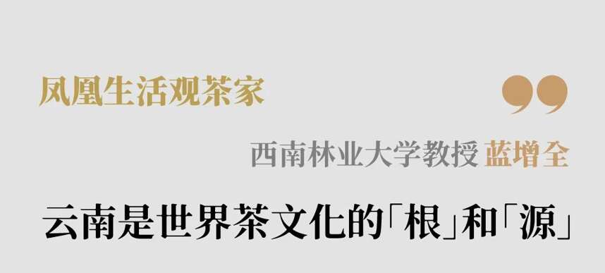 西南林业大学教授 蓝增全 │云南是世界茶文化的“根”和“源”