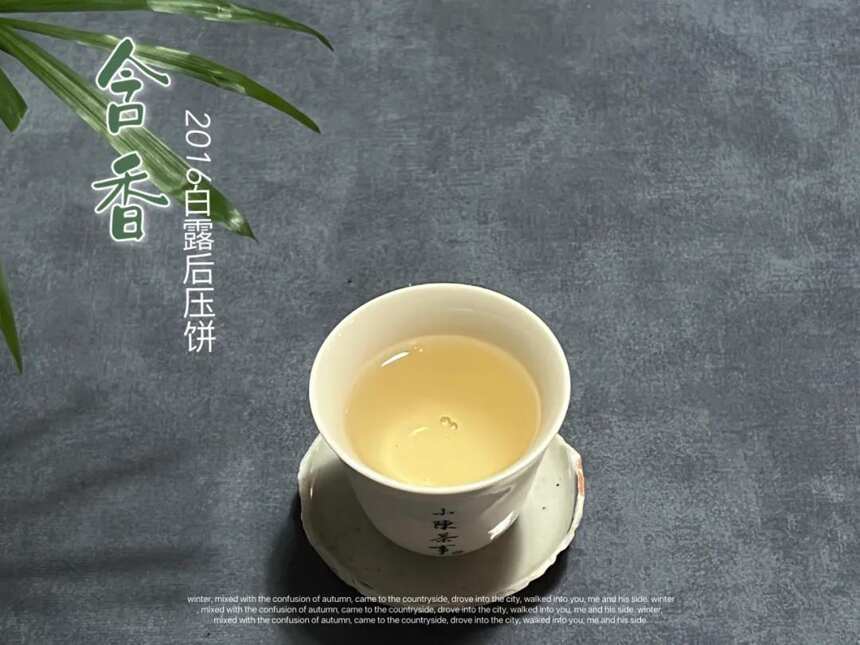 教科书般的白茶撬茶饼完整示范，每一步都有，跟着学就行