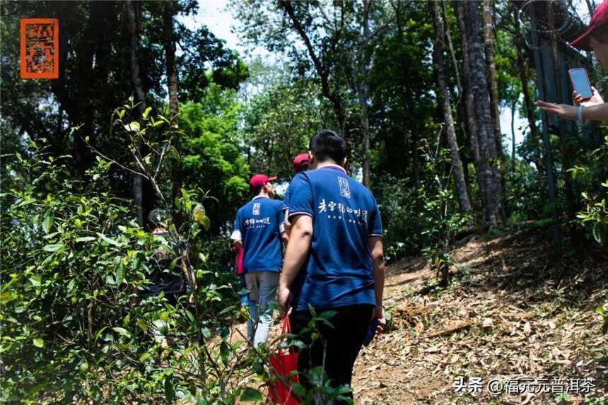 历史古村蛮砖大寨，百年易武经典传承