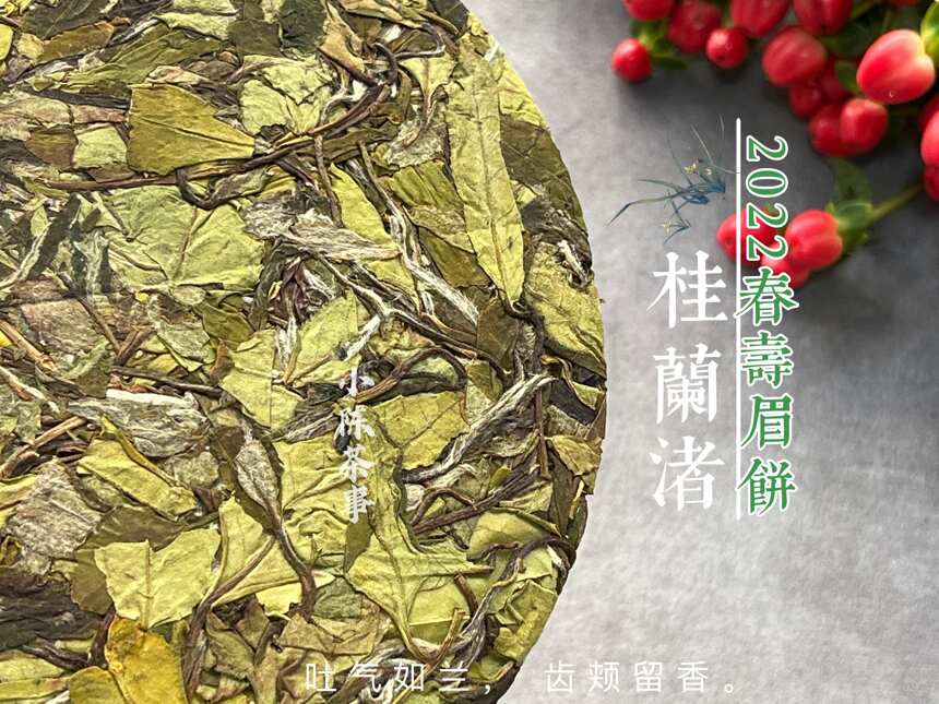 为什么白茶压饼，市面上十有八九选寿眉？白毫银针不适合压饼吗？