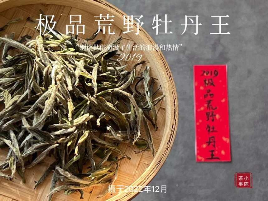 被时间耽误的荒野银针，极品荒野牡丹王，极富春日之娇俏可人