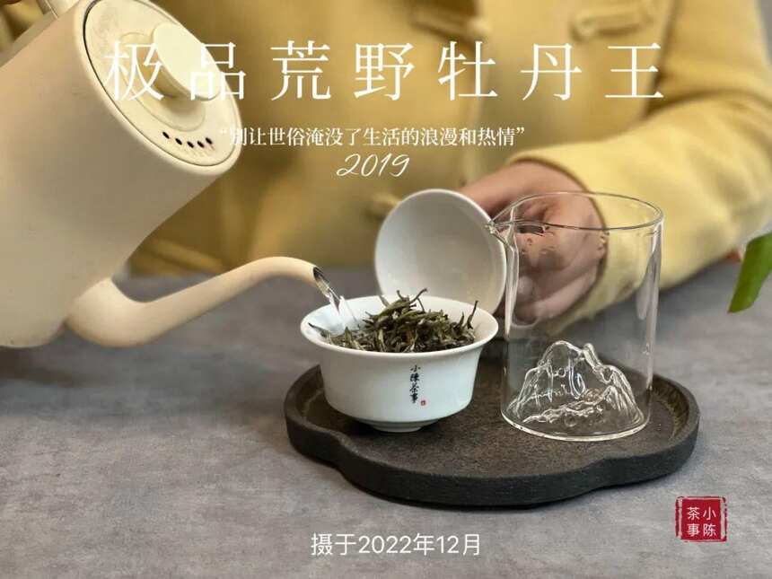 被时间耽误的荒野银针，极品荒野牡丹王，极富春日之娇俏可人