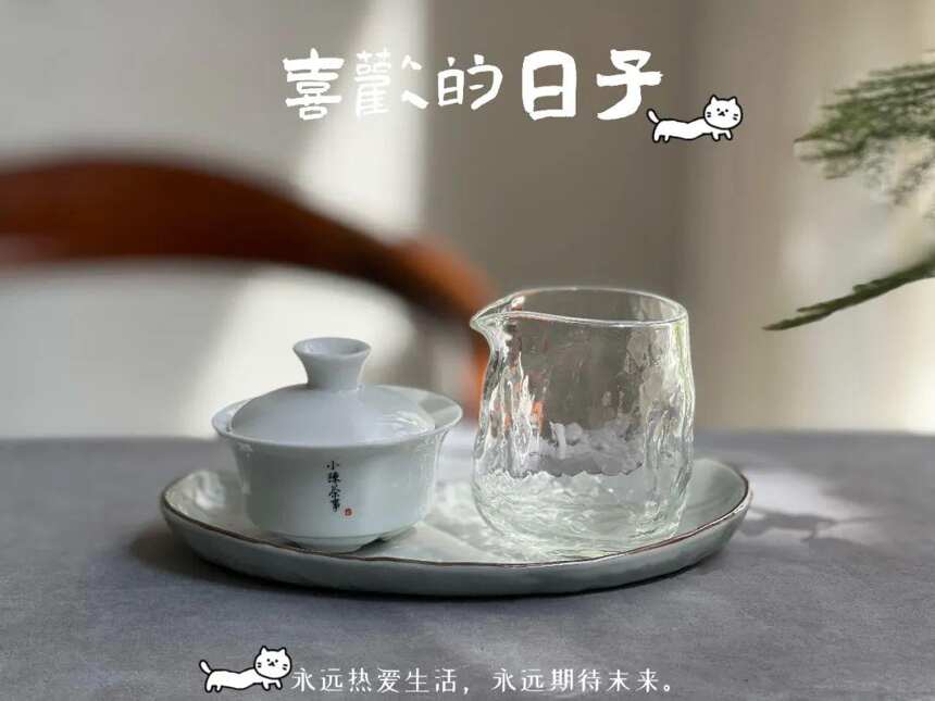 一样的老白茶，“蒸茶”和“煮茶”有什么区别？一文让你不再纠结