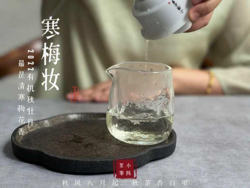 EGCG是什么？这个阴霾沉闷的冬天，请多喝点茶，多摄入一些EGCG