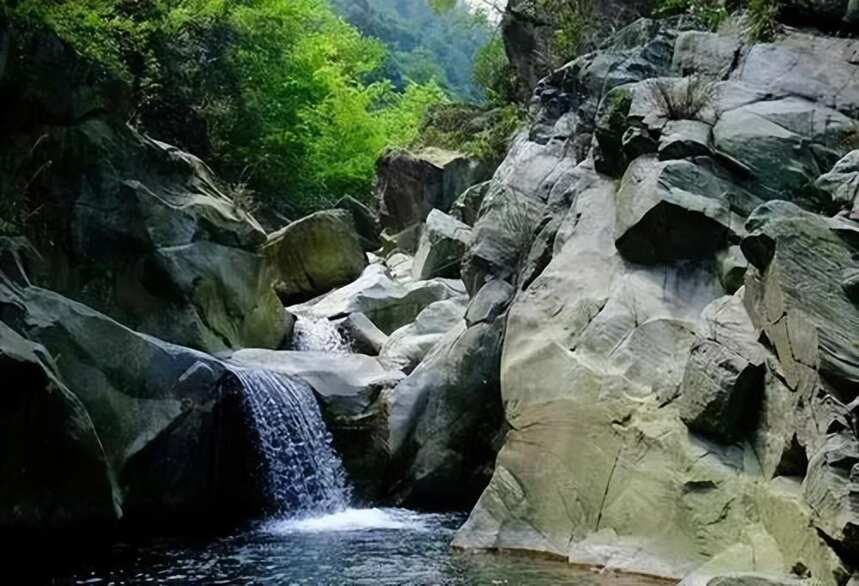 黑茶 | 湖南安化黑茶 —— 黑茶始祖 世界之最冰碛岩地貌之富硒黑茶