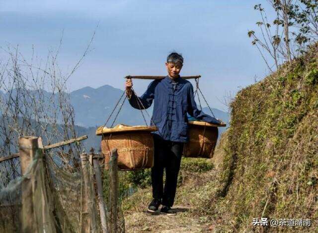 湖南红茶“十大制茶工匠”之李洪玉：逆风飞扬一叶情