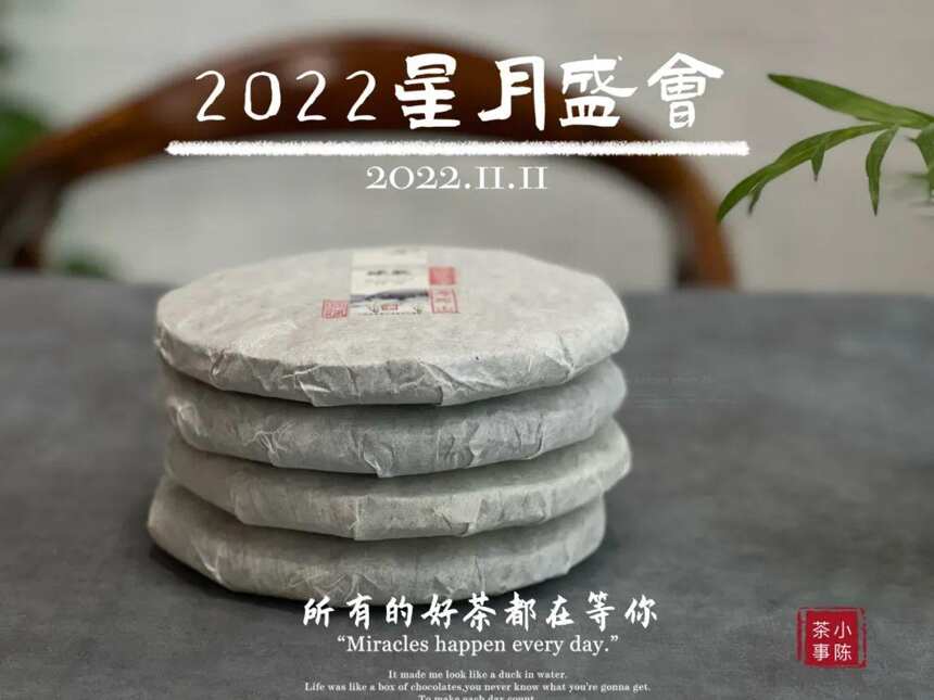 白茶饼买大饼好，还是小饼好呢？听村姑陈讲完背后的原因，明白了