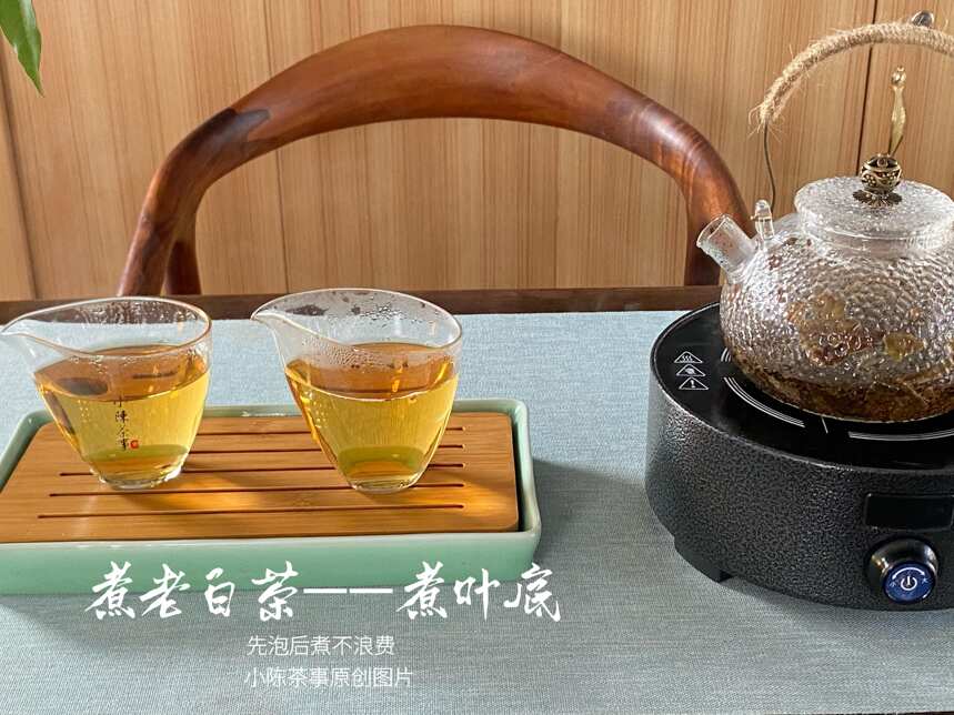 白茶性寒凉，与冬天不搭？关于白茶的大误区，早知道早受益